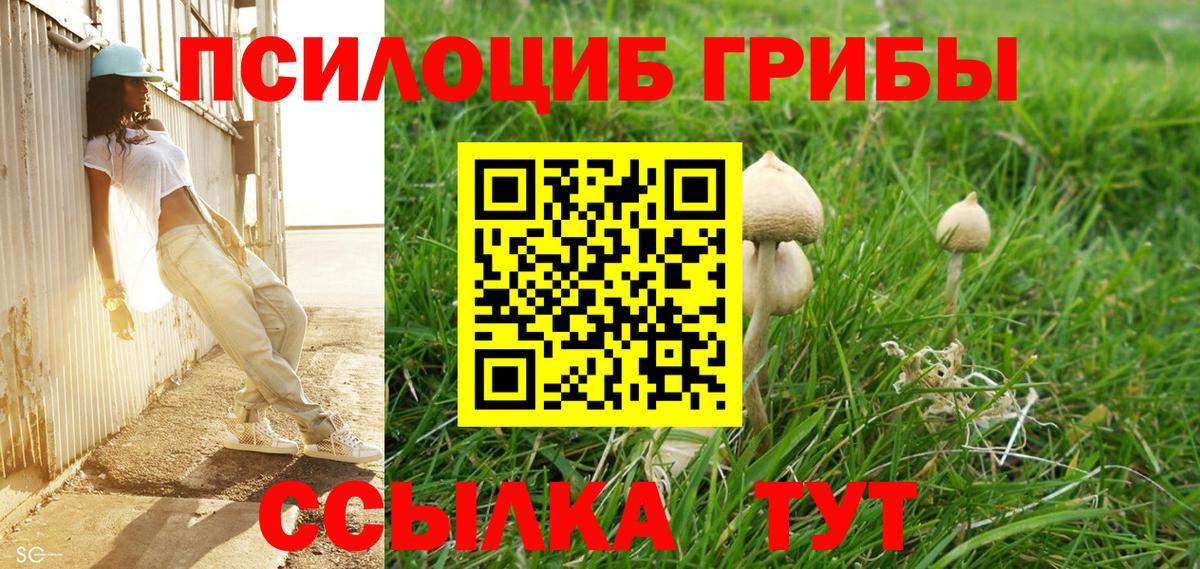 Глазов  закладка  Галлюциногенные грибы Magic Shrooms  Вход с VPN  Галлюциногенные грибы мицелий 